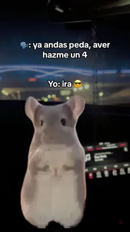 #MemeCut #Meme #MemeCut cual peda  😌 #fyp #viral #parati 