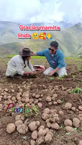 Mi semana santa más hermoso. #mamaesunicaenelmundo #pampastayacaja #prooofefeliz #prooofe #semanasanta #naturalezaesvida #ayudandoamama #warneramaasumamita #longervideos #cosechadepapawarner 