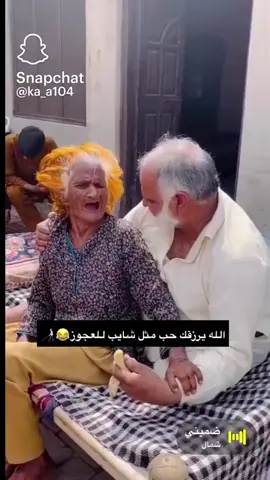 #ي حليلهم ذوالي شيبان 🥺😂🤣