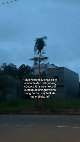 biết khi nào mới gặp lại#xuhuongtiktok #fyp #cap #tamtrang 