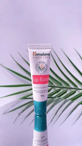 My fav lip balm for very dry lips🥹🫶🏻  #lipbalm #himalaya #ugc #upc #ugccreator #lipbalmhimalaya 