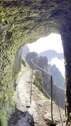 The World is not in your TikTok, it’s out there… 😉 Close your eyes and envision yourself strolling along the mesmerizing PR1 hiking trail in enchanting Madeira.  🏞️ Feel the gentle breeze caress your skin, listen to the symphony of nature’s melodies, and breathe in the crisp, invigorating air.  🌄 It’s not just a hike, it’s an odyssey of the senses.  Step outside, let the adventure unfold, and immerse yourself in the beauty that surrounds you. 💫  This is where life truly begins – in the great outdoors. Are you ready to answer the call?  Then book your flight to Madeira 😉  And don’t hesitate to use my interactive guide + map with all the tips and insights to explore the island 🗺️ 👉🏼link in bio 🔗 #ExploreMadeira #Madeira #DiscoverEarth #PicoArieiro #PicoRuivo #PR1 #HikingAddict #HikingAdventure #ExploreNature #VisitMadeira #HikingTrail #GoOutdoors #GetOutside #NatureTrail #exploretheworld🌎 #AdventureSeeker #WanderMore #IntoTheWild #NatureExploration