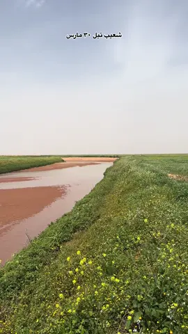 #شعيب_تبل #تبارك_الله #ربيع #فيضه الكسره #الهذال_شيوخ_عنزه #العراق #السعودية  #الانبار_الرمادي 