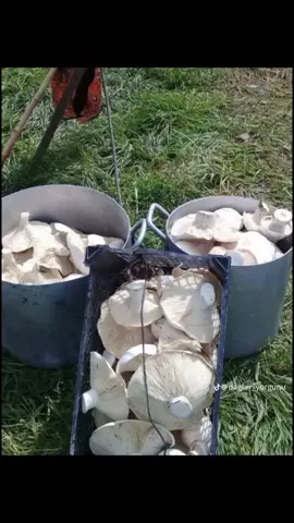 #ərəfsə#ərəfsəkəndi #erefse #erefsekendi #culfarayonu #naxcivan 