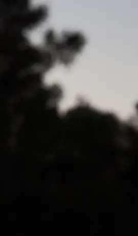 Musa Tanveer #fyp #foryou #emotional #viral #foryoupage #tiktokpakistan 