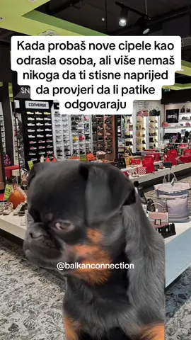 #MemeCut #Meme #smijesno #fyp #balkancomedy #balkanmemes #balkan #trending #viral #balkantiktok #smesno #balkanci #fypシ #funny 