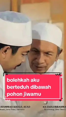 bolehkah aku berteduh di bawah pohon jiwamu guru #khahmadsufyanmiftahularifin #khfadlurrohmanzaini #khrmohkholilasad 