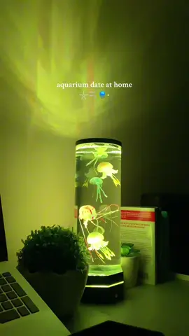 its a need🩵 #jellyfish #aquarium #jellyfishlamp 