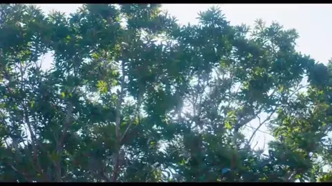 交換ウソ日記Part13 #交換ウソ日記 #桜田ひより #高橋文哉 #齋藤なぎさ #板垣瑞生 #曽田俊介 #茅島みずき #fyp  @映画『交換ウソ日記』公式  @曽田陵介 @齊藤なぎさ 