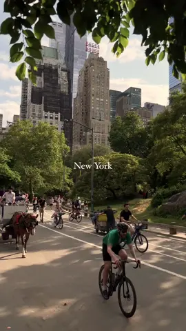 Take a city bike tour through New York and experience the vibrant energy of the city. As you pedal along, you'll pass by old buildings steeped in history, breeze through Central Park, cross the bustling chaos of Times Square, and pedal past the iconic Empire State Building 🚴✨  captured on iPhone 13 Pro 4k at 30fps  biking trough new york #newyork #nyc #newyorkcity #cinemasb