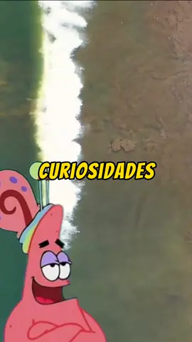 CURIOSIDADES ALEATÒRIAS NARRADA PELO PATRICK  #vocêsabia #desenho #aleatorias #animaçao #patrickstar #bobesponja #patrickestrela 