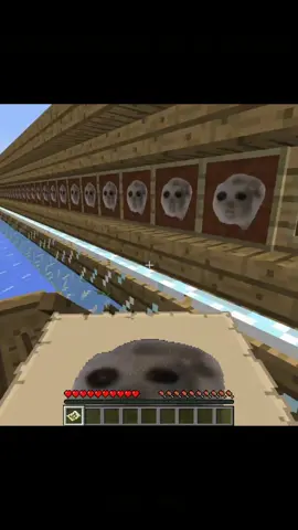 😈😈#foryourpage #tiktok #Minecraft 