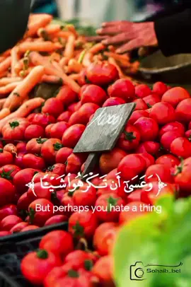 #القران_الكريم #اللهم_صلي_على_نبينا_محمد #أكتب_شي_توجر_عليه #capcut #viral #tiktok #الشعب_الصيني_ماله_حل😂😂 