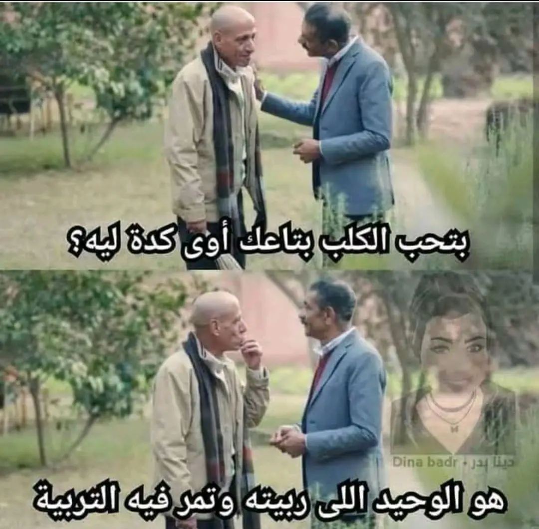 #كلاب #امين_خطاب ❤️🐕