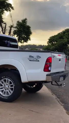 HILUX🔥🚀 #hilux #ram #bruta #toyota #toyota #carros #caminhonete #usguri #mato #agro 