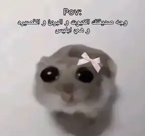 #كل_عام_وانتم_بخير #رمضان #مبارك_عليكم_الشهر #مبارك_عليكم_الشهر #رياكشنات #مالي_خلق_احط_هاشتاقات #الشعب_الصيني_ماله_حل😂😂 #tiktok #viral #Ramadan #foryou #trending #CapCut #fyp #explorer #fypシ #viralvideo #trend #trend #viral 