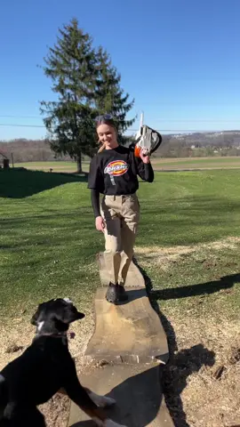 THANK YOU @Dickies 🫶🥹 . . . . #chainsawjenna #dickies #womenwoodwork #woodwork #Runway #walk #fashion #girly #clothes #chainsaw 