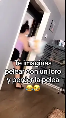 🤣😂🤣