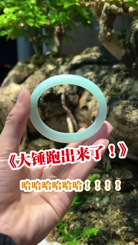 小锤难得掌镜，把大锤放出来了哈哈哈找条果绿！#翡翠定制  #翡翠 #翡翠手镯