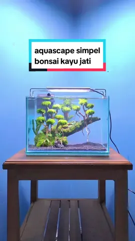 banyakin karya kurangin drama ✨️, tapi kalau di pikir mending banyakin uang ya, udah mepet lebaran soalnya 😏, eh siapa tau minat aquascape bonsai nano tank 30x20 🌳🫧🌿 #aquascape #aquarium #hiasanrumah #aesthetic #tutorial #fypシ゚viral #ramadhan2024 
