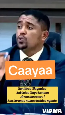 Pireezidaantiitti M/N/Oromiyaa Obbo Shimaallis Abdisaa #oromotiktok❤️💚❤️ #ethiopian_tik_tok 