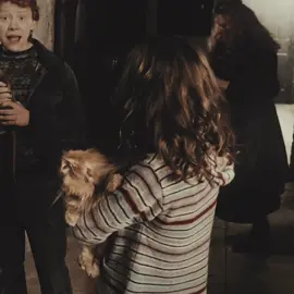 hermione’s aura ib rvenclaws #harrypotter #hp #cozy #hptiktok #harrypotteredit #hermionegranger #hermionegrangeredit #fyp #actives #trending #viral #blowthisup #hogwarts #fall #autumn #moodboard #aesthetic #darkacademia #edit 