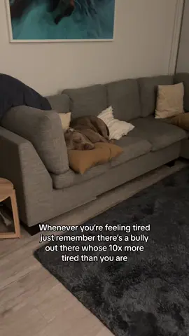 Chopping that good wood 😴, had to move the pillow so we could sleep too 😅 #snore #sleep #dogs #dog #tuktuk #americanbully #puppy #luluandtuktuk #puppylove #dogsoftiktok #auckland #fyp 