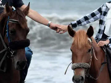 🥹♥️. #اكسبلور_فولو#اكسبلور_explore#explore#اكسبلور#شعر#قصايد#خواطر#اقتباسات#خيل#خيل_خياله#حب#حبيبي#pov#fyp#foryou#like#اكسبلور#اقتباسات#اقتباس#عبارات_جميله#رساله#خيل#سياحه_سفر 