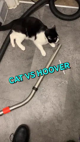 He learnt the hard way not to play with the vacuum 🤣 #cat #vacuum #fail #kitty #fyp 
