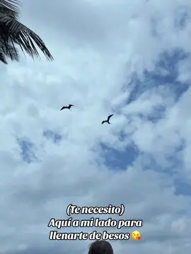 #comerteabesos #venezuela🇻🇪 #sheilita_smith #bendy_bella #naturaleza #fans 