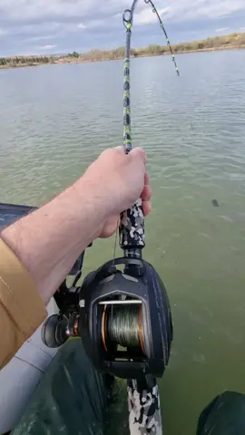 @Adventerfishing  #catfish #siluro #sum #fishing #pesca #wedkarstwo #rivergishing #spinfishing #monsterfish #predatorfish #sports #deporte 