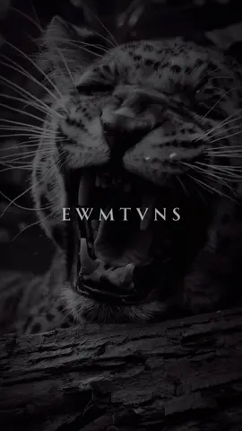 Makiere deinen Bruder 🫵 — #motivation #motivationssprüche #motivationdeutsch #motivationtok #zitate #freundefürsleben 