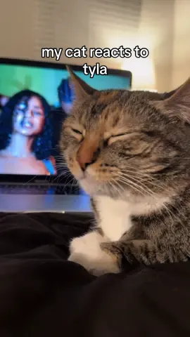 I knew Tyla was gonna get her in her chillest bag 😮‍💨 Now she can’t stop vibing to this one 💙 #tyla #water #cat #rnb #afrobeats #tylawater #cats #catsoftiktok #fyp