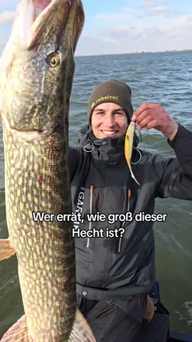 Strammer Hecht #angeln #angler #harzfishing #fishing #pikefishing #pike #hecht #hechtangeln 