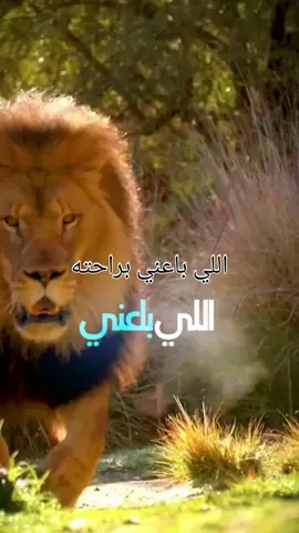 محمود_الليثي_اللي_باعني_براحته #محمود_الليثي #اللي_باعني  #اغاني_حزينه #اهداء #اغاني #tiktok 