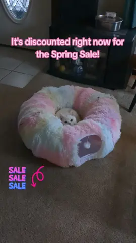 Jacob is my favorite kitty. #tiktokshop #cat #cats #catlover #catowner #catbed #cattunnel #cattoy #bed #tunnel #toy 