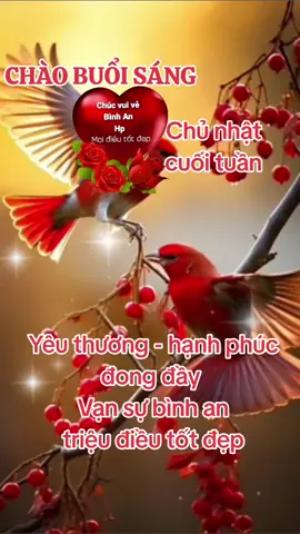 #CapCut . Người ơi có nghe không  ? lòng anh chỉ mình em thôi #wannaseeyou #tiktokvienam #CapCut #chaobuoisang #chiaseyeuthuong #nhachaymoingay #xuhuong #hanguyen 