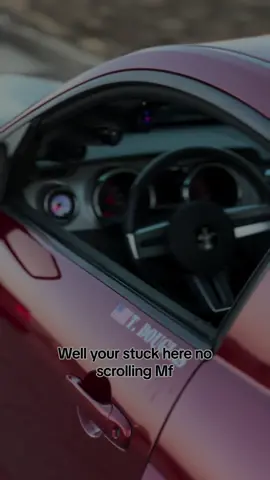 Refresh the screen bro #fyp #carsoftiktok #mustang #viral #relateable #stuckscrolling #mustangsoftiktok #whoopsie 