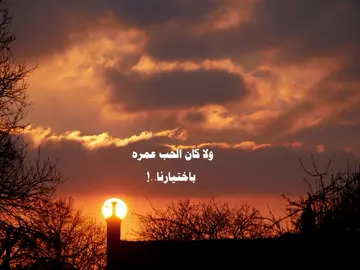 ولا كان الحب عمره باختيارنا💗✨ #يا_سلام_لو_كل_عاشق #ولا_يوم_حبك_فقلبي_يهون_عليا🥺❤️ #fypシ゚viral #viral #❤️ #فيديو_علي_السريع🦋✨ #fyp #رمضان_كريم #اغاني_حب @🧍🌍 