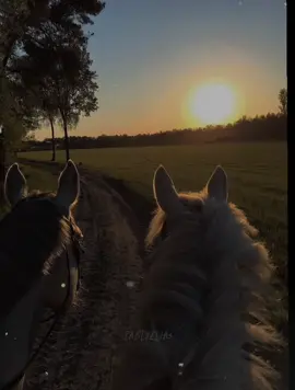 ayy tu no cambias ni aunque te bautize el papá siempre vas a ser así.. #labandadel5  #valledupar #fyp #fyppppppppppppppppppppppp @La banda del 5 