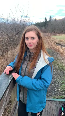 #bird #rarebird #virginiarail #birding #birdnerd 