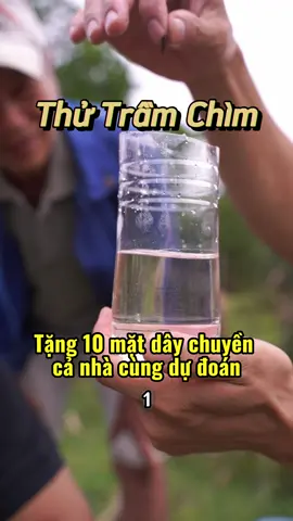 Thử trầm chìm nước tại thủ phủ trầm hương #cobebantram 