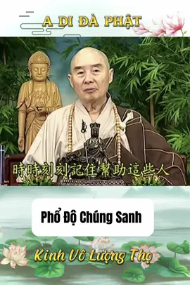 Lão Hoà Thượng Tịnh Không Chủ Giảng Kinh Vô Lượng Thọ  Trích đoạn tập 85 #phapsutinhkhong  #tinhkhongphapsu  #adidaphat #xuhuong  #nammoadidaphat  #xuhuongtiktok 