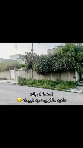 #فلاش_باك #ذكريات #لحضه_ادراك #بيت_جدي #موسيقى #ترند #صوت #حمام #عيد 