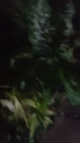 #padahariini #platdinas #fyp #xyzbca #fypシ #ramadhanditiktokshopping  POLISI POLSEK CAKUNG MENGEJAR REMAJA YANG AKAN TAURAN