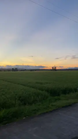 Sunrise on the roads of Hilongos-Hindang, Leyte 🌅 It's a must-watch scenery right after getting off sa barko (traveling from Cebu back home to Leyte). 