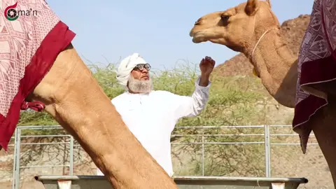 ام سعيد تبكي لكن مو السبب ؟ 😅😂 #ا 