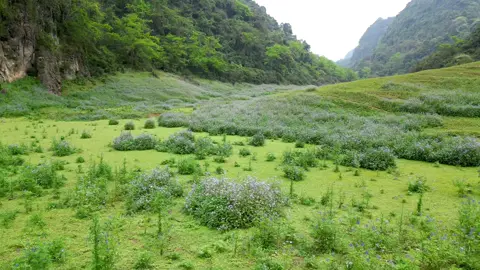 Một địa điểm chick in mới ở Núi Mắt Thần  #đatcampingcaobang #Đatcampingcb #campingnuimatthan #reviewcaobang #xuhuongtiktok #caobangreviewdulichtattantat #WhatToPlay 