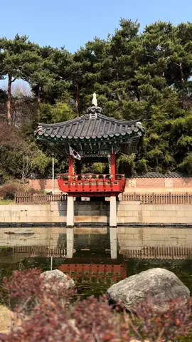 South Korea 🇰🇷 #seoul #busan #travel #southkorea #fypシ #gyeongbokgungpalace #seoultower 