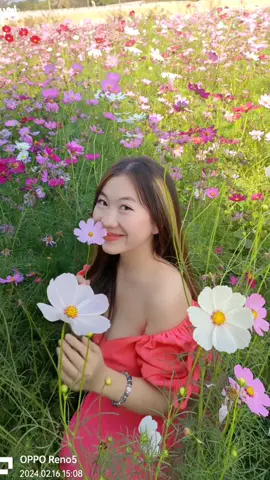 🌱✨💗🫶#hluasnkaujhmoob #nkaujhmoobyaj🥰🥰 #เทรนด์วันนี้ 